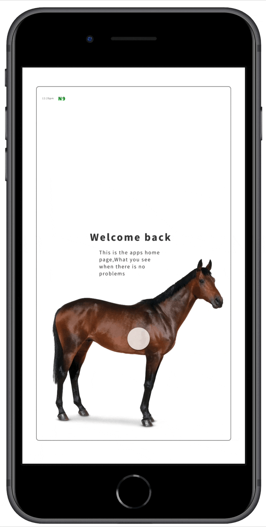 N9 companion mobile app prototype for equine monitoring.